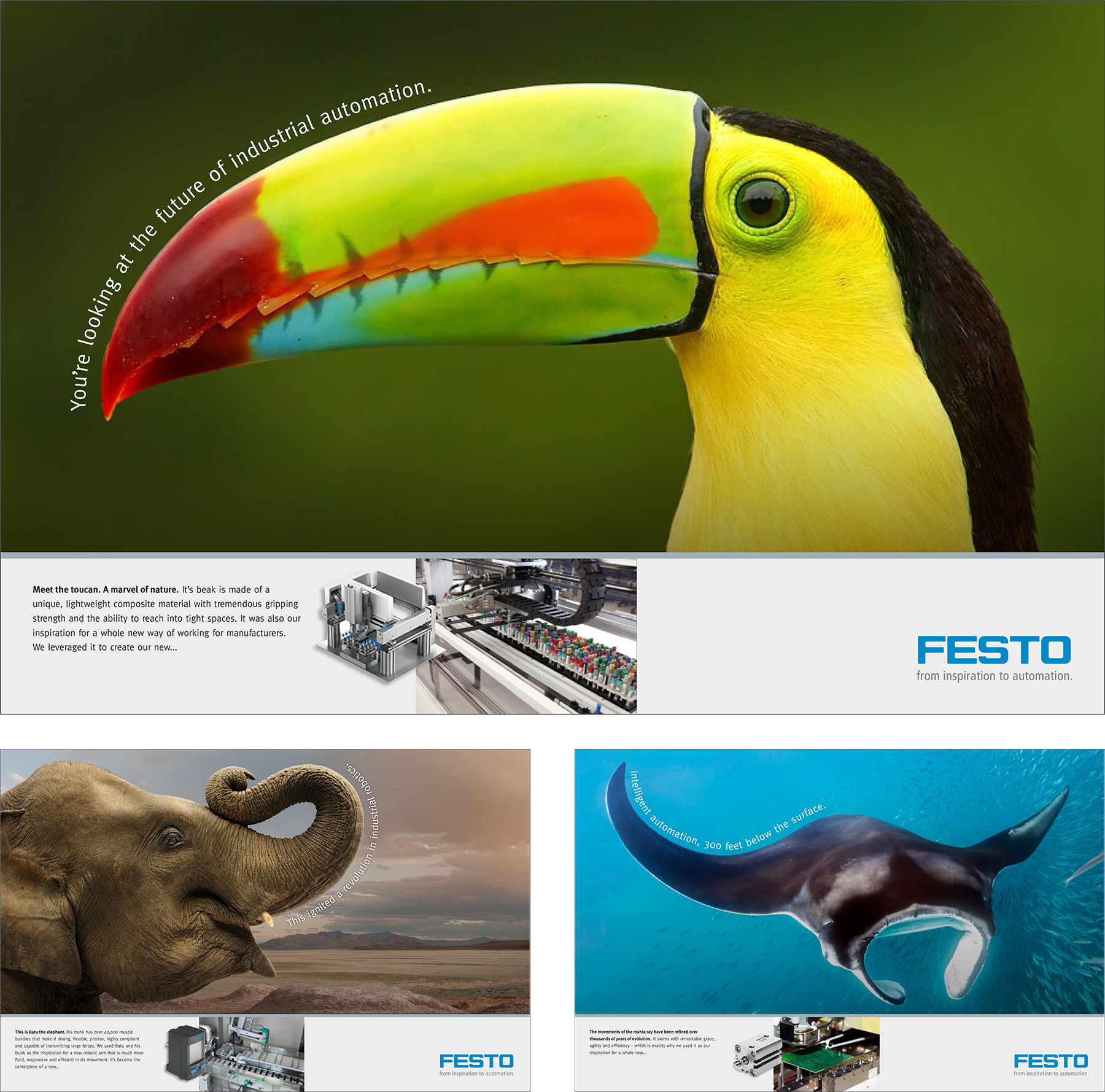 Festo